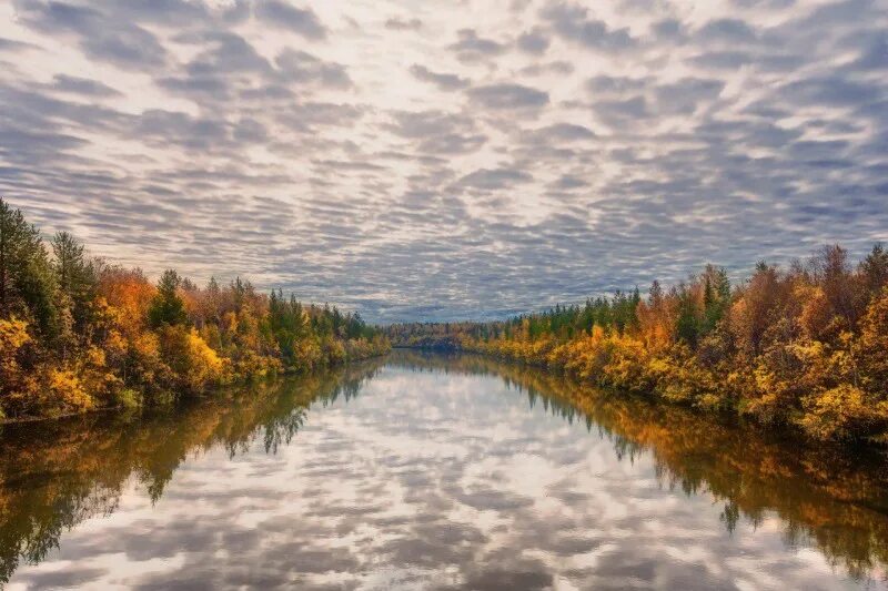 Заполярная природа словно. Природа Мурманской области. Осень в Апатитах. Осень в Заполярье. Мурманск природа осенью.