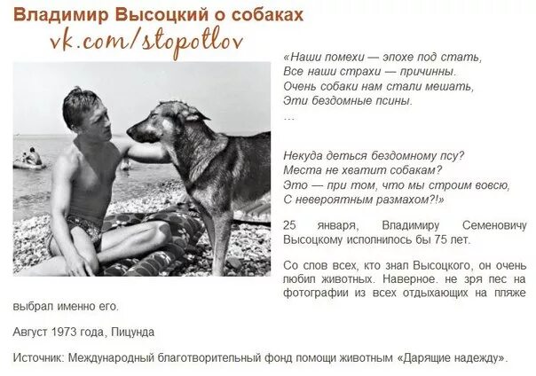 Высоцкий дали собакам мяса
