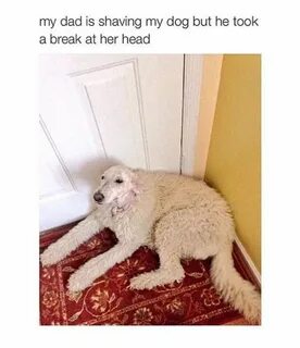 But he not take