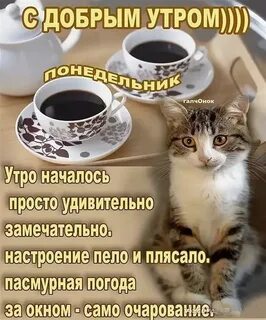 Открытки опять понедельник