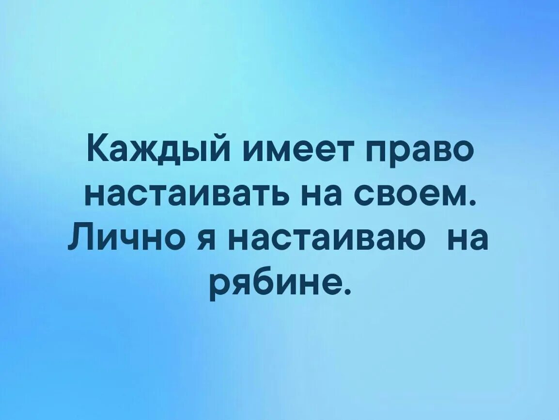 Приколы про бывшую. Лично я готов. Умоляющий котик мем. Умоляющий котик мем. Готов всегда готов.