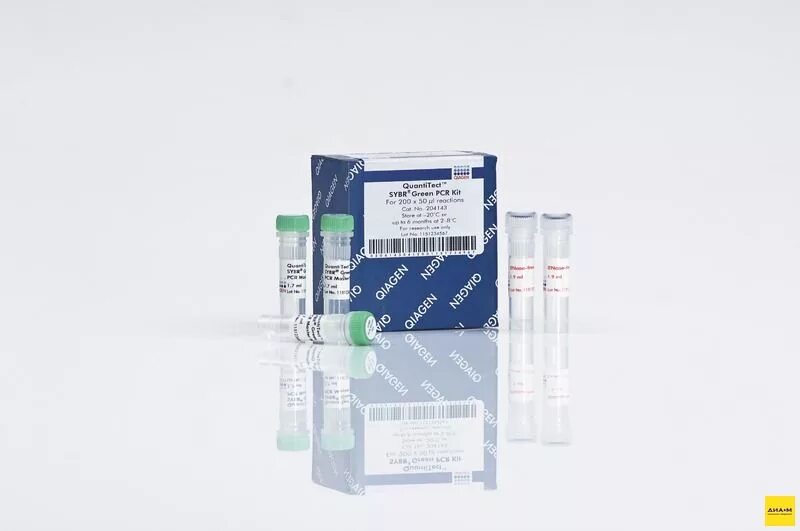 Evolis bio rad. Рнк sybr green 2. Интеркалирующие красители пцр. Sybr green краситель. 1 мл) dmso (100%), 1 мл.