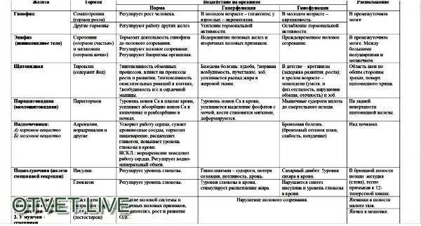 Железы в организме человека таблица. Таблица функции желез внутренней секреции таблица. Таблица по биологии железы внутренней секреции. Таблица железы внутренней секреции (эндокринные железы). Таблица эндокринных желез и их гормонов.