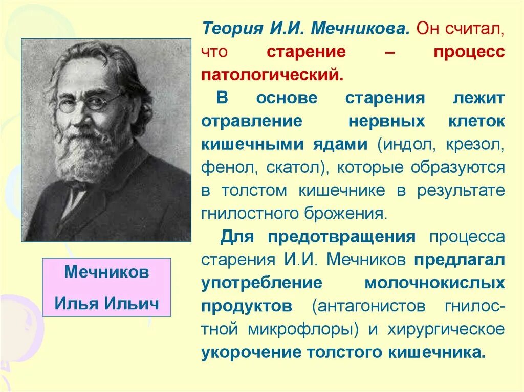 Мечников учение о клеточном иммунитете. Гипотеза Мечникова старения теория. Теория ортобиоза Мечникова. Мечников теория старения. Интоксикационная теория старения Мечникова.