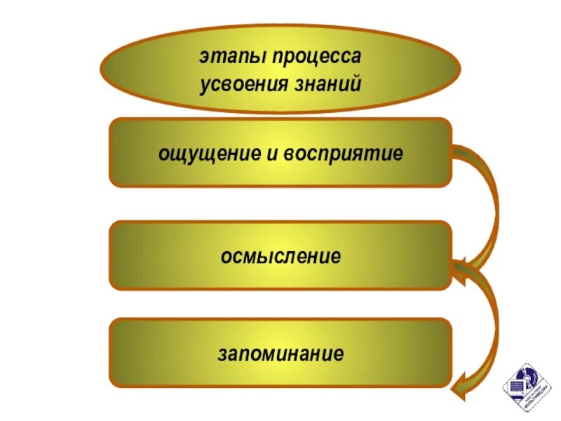 Этапы усвоения знаний. Последовательность процесса усвоения знаний. Этапы процесса. Основные этапы процесса усвоения знаний в педагогике.