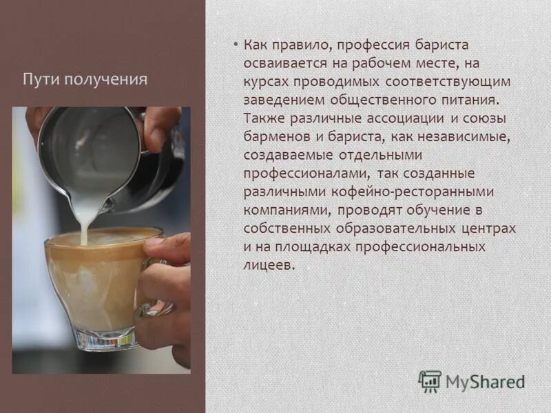 томас полти бариста. бариста интересные факты. профессия бариста описание. бариста для презентации. томас полти бариста.