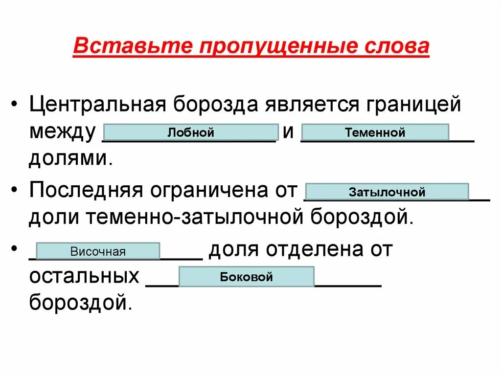 Выставьте пропущенное слово. Вставьте пропущенные слова. Вставить пропущенные слова. Доставьтк пропущенные слова. Вставьте пропущенное слово.