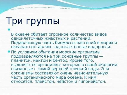 Сколько видов живых организмов обитает в океане