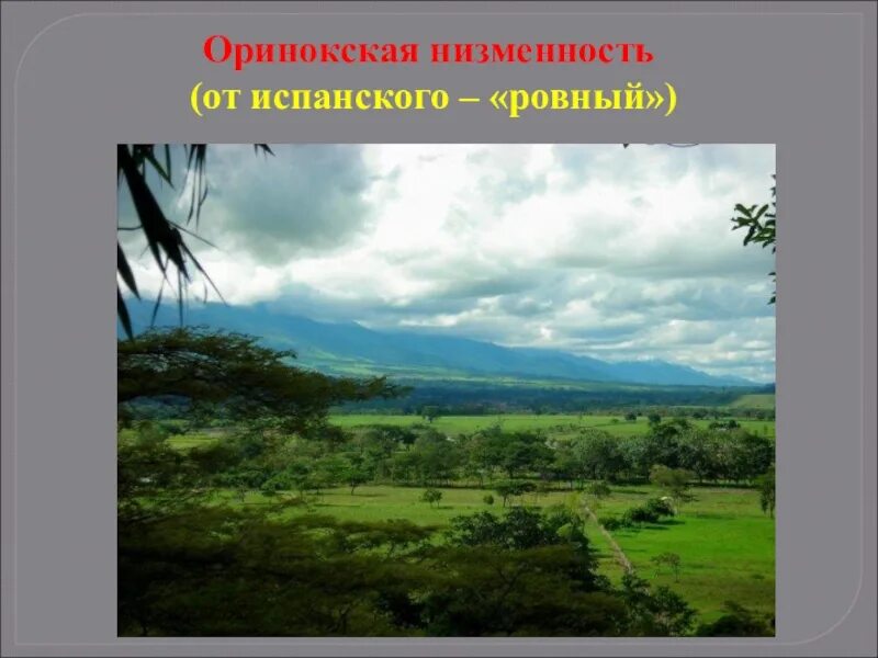 Южная америка оринокская низменность. Оринокская низменность. Оринокская низменность. Оринокская низменность. Оринокская низменность.