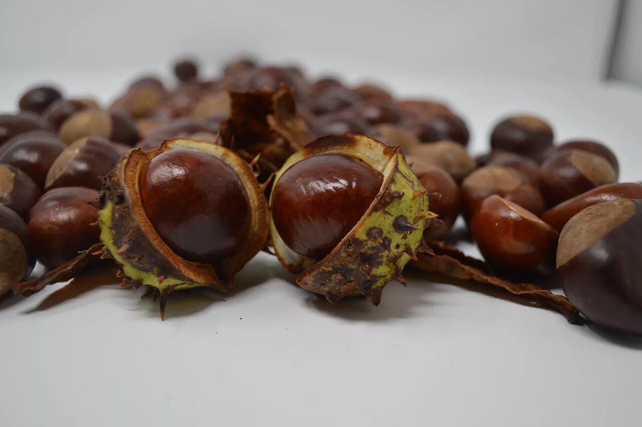 What Are Chestnuts and How Are They Used? Castaña, Recetas