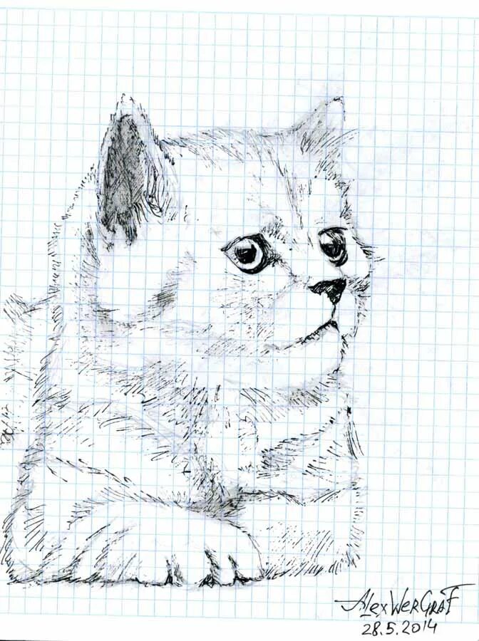Рисунки получились
