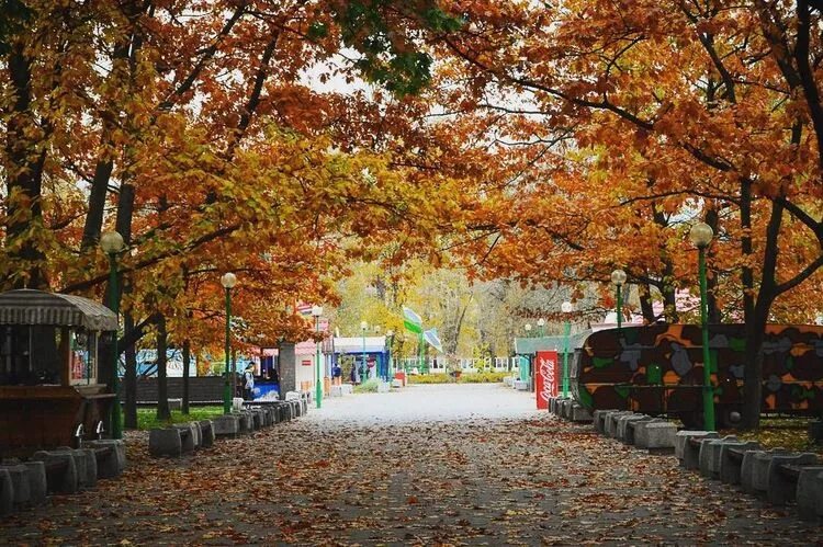 Парк отдыха брест. Брест парк. парк первого мая брест. брест парк культуры и отдыха. брест парк победы.