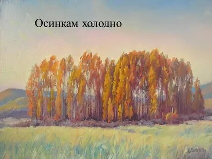 Выйду на опушку