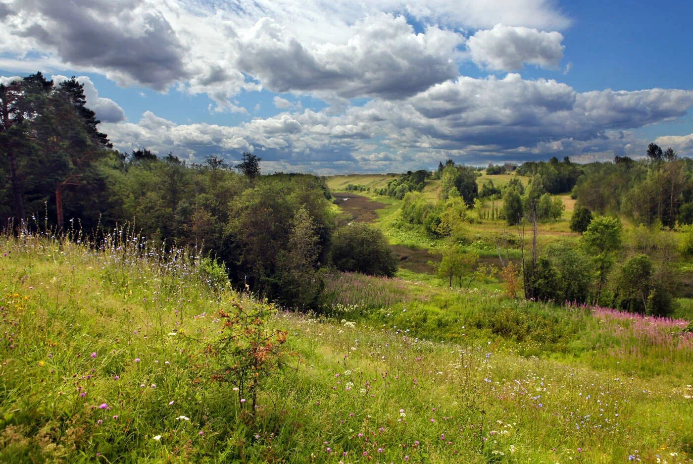 Летний полдень выгнутый. Природа полдень. Виктора путинцева «лето в зените». Летний полдень фото. Сейчас полдень.