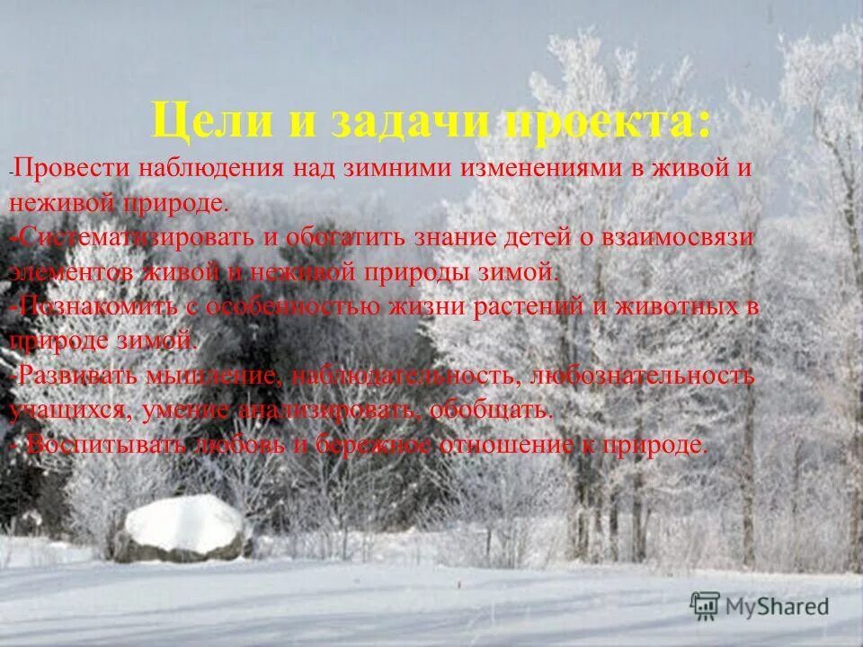 Зимние изменения в неживой природе. Зимние изменения в неживой природе