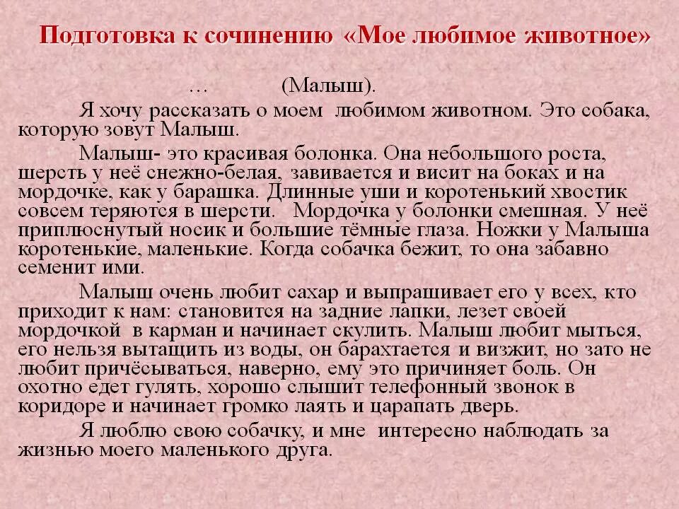 Сочинение мой пес по кличке уши егэ. Сочинение про моего любимого питомца собаку. Сочинение про любимого питомца собаку 5 класс. Сочинение на тему моё любимое животное. Сочинение на тему моё либимое животное.