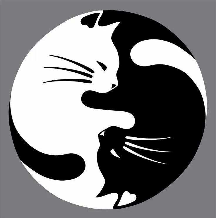 Изображение инь янь. Инь янь рисунок. коты инь янь. инь янь черно белое. ин и ян животные.