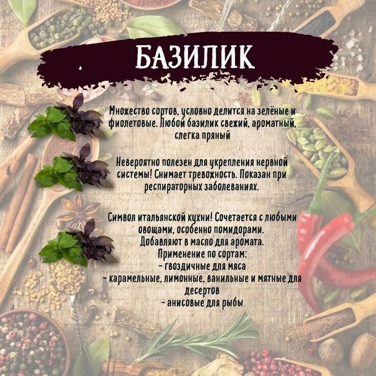 Базилик польза и вред для человека. Базилик польза. Микрозелень базилик фиолетовый. Базилик польза для мужчин. Базилик.