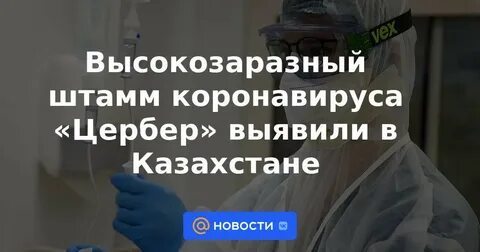 Штамма коронавируса цербер