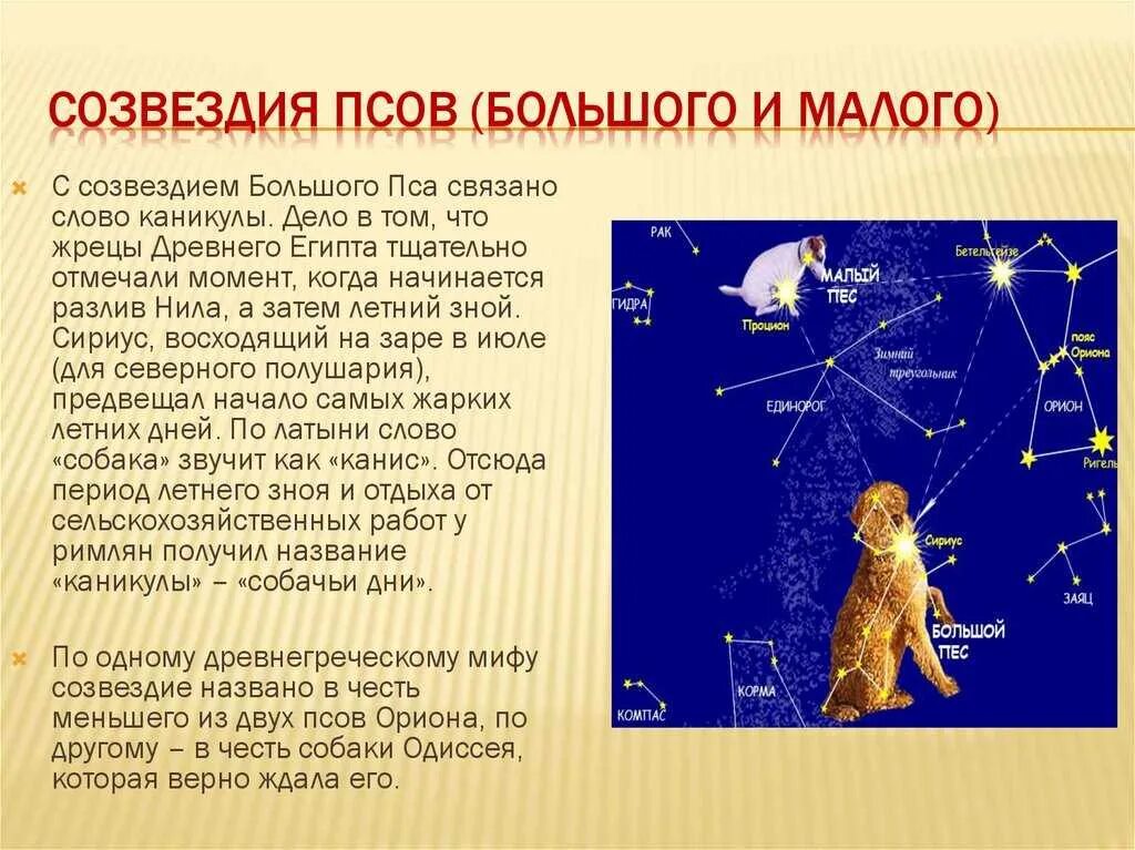 Созвездие большой пес 3 класс окружающий мир. Созвездие малый пес доклад. Созвездие пса звезда каникула. Созвезбиебольшого пса. Сириус какой класс