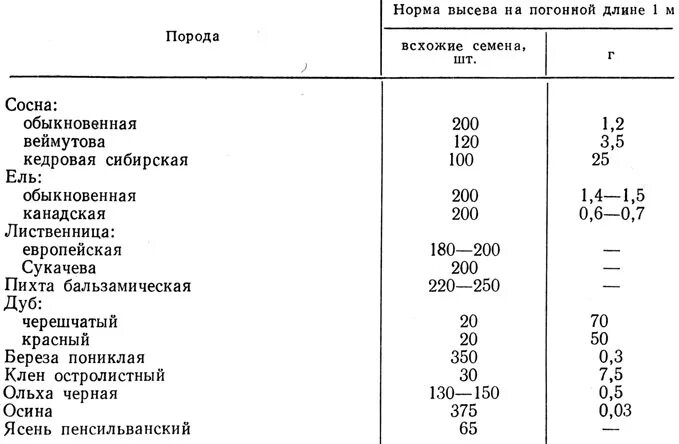 Посев семян хвойных пород необходимо проводить