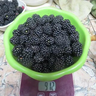 Черный кислый