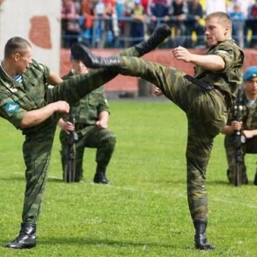 Владеющий боевой