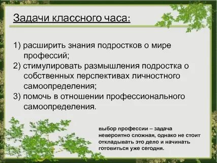 Цели и задачи классного часа