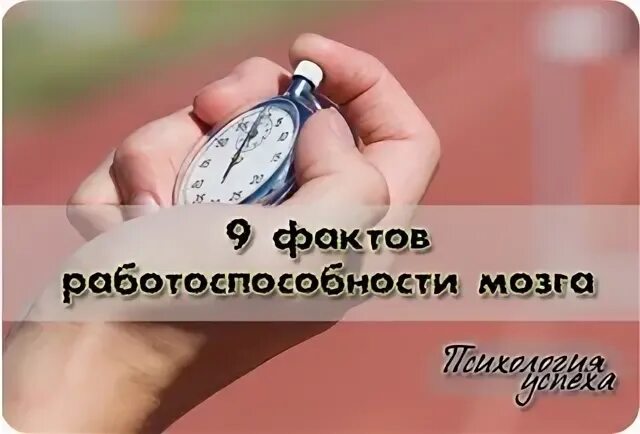 9 фактов