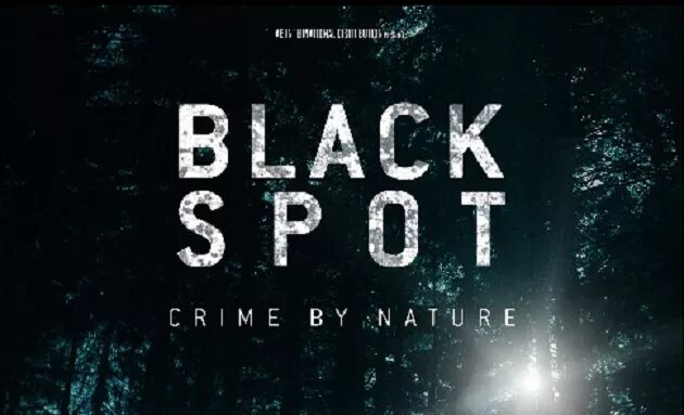 Блэк спот. Блэк спот монета. Мертвая зона сериал нетфликс. Блэк спот. Блэк спот.