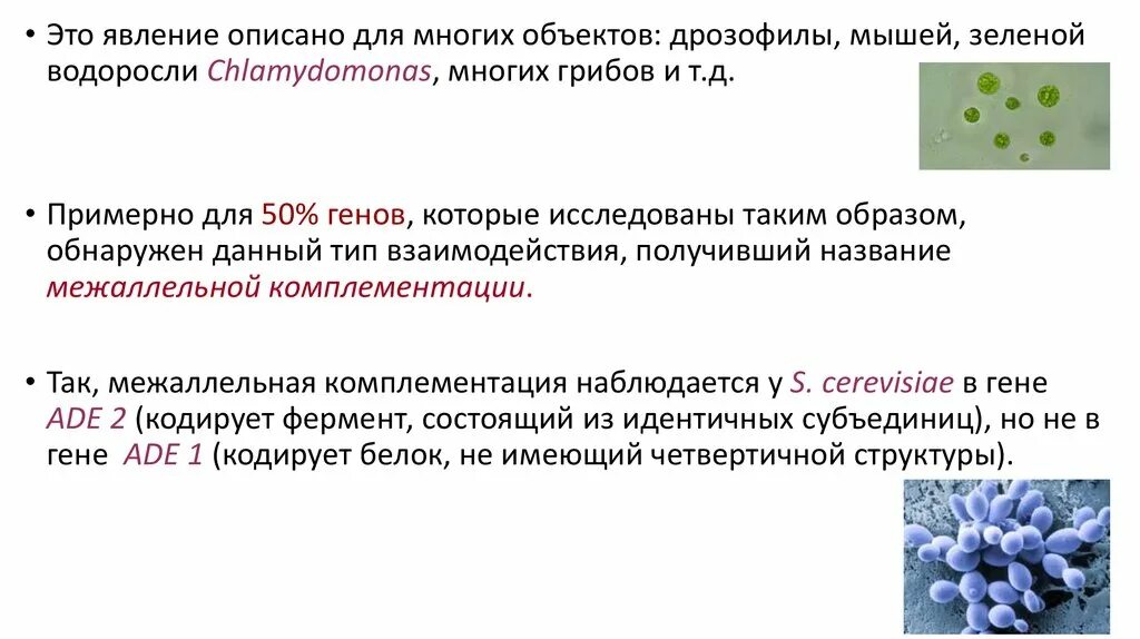 Комплементация это. Межаллельная комплементация. Межаллельная комплементация это в генетике. Пример межаллельной комплементации. Аллельные гены Межаллельная комплементация.