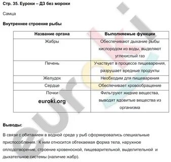 Биология 6 класс рабочая тетрадь 2023 год