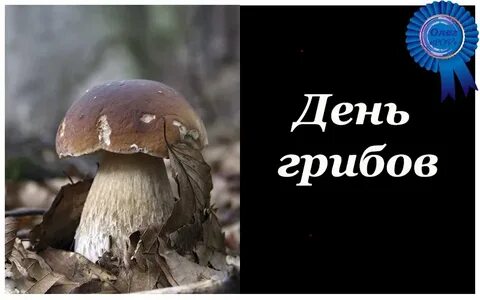 Когда будет день гриба