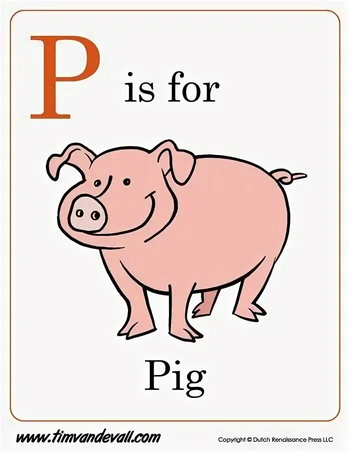 P is for. Pig карточка. p is for pig. pp pig алфавит. pig транскрипция.