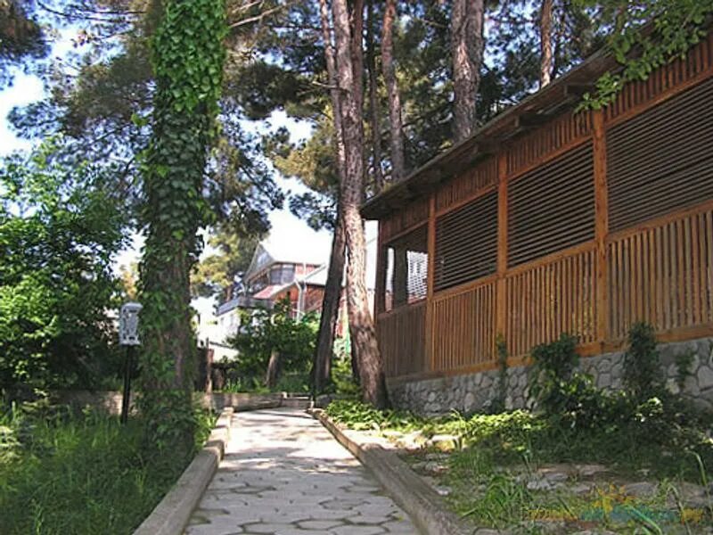 Гостевой дом чайка дивноморское. Чайка дивноморское. Морская вилла дивноморское. Дивноморское чайка мини-гостиница фото. Дивноморское ул.