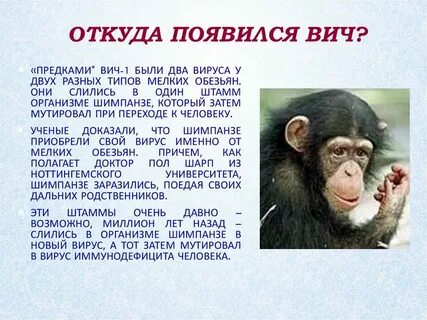 Откуда появился экран