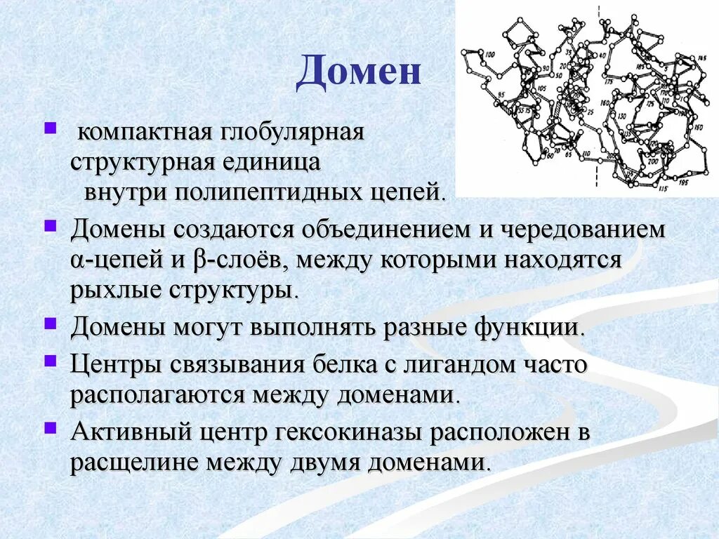 Домен характеристики. Доменное строение биохимия. Домен это биохимия. Домен (биология). Доменная структура белков.