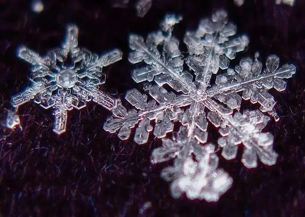 Снежинки кружатся. Снежинка под микроскопом. Снежинки эстетика. Снежинки в природе. Снежинки в природе.