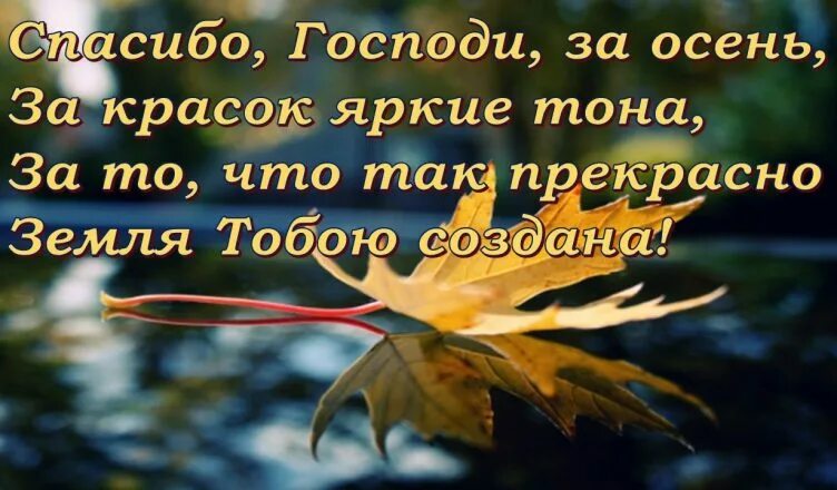 Благодарю тебя господь. Спасибо господи за новый день. Спасибо новому дню. Благодарите бога за каждый новый день. Спасибо господи.