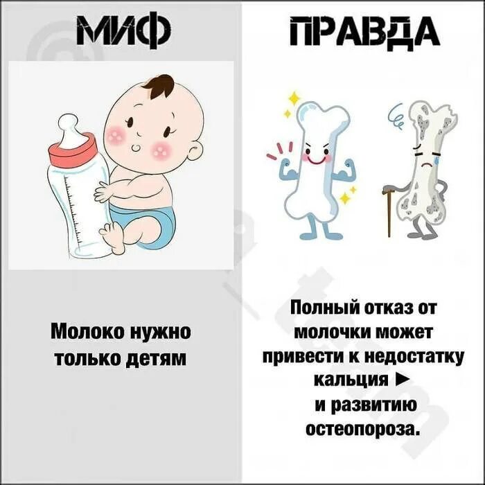 Мифы и правда про. Миф правда. Мифы и правда о грудном вскармливании. Мифы про молоко. Правда миф для детей.