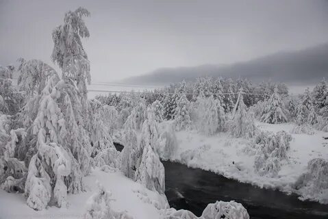 Какая она зима