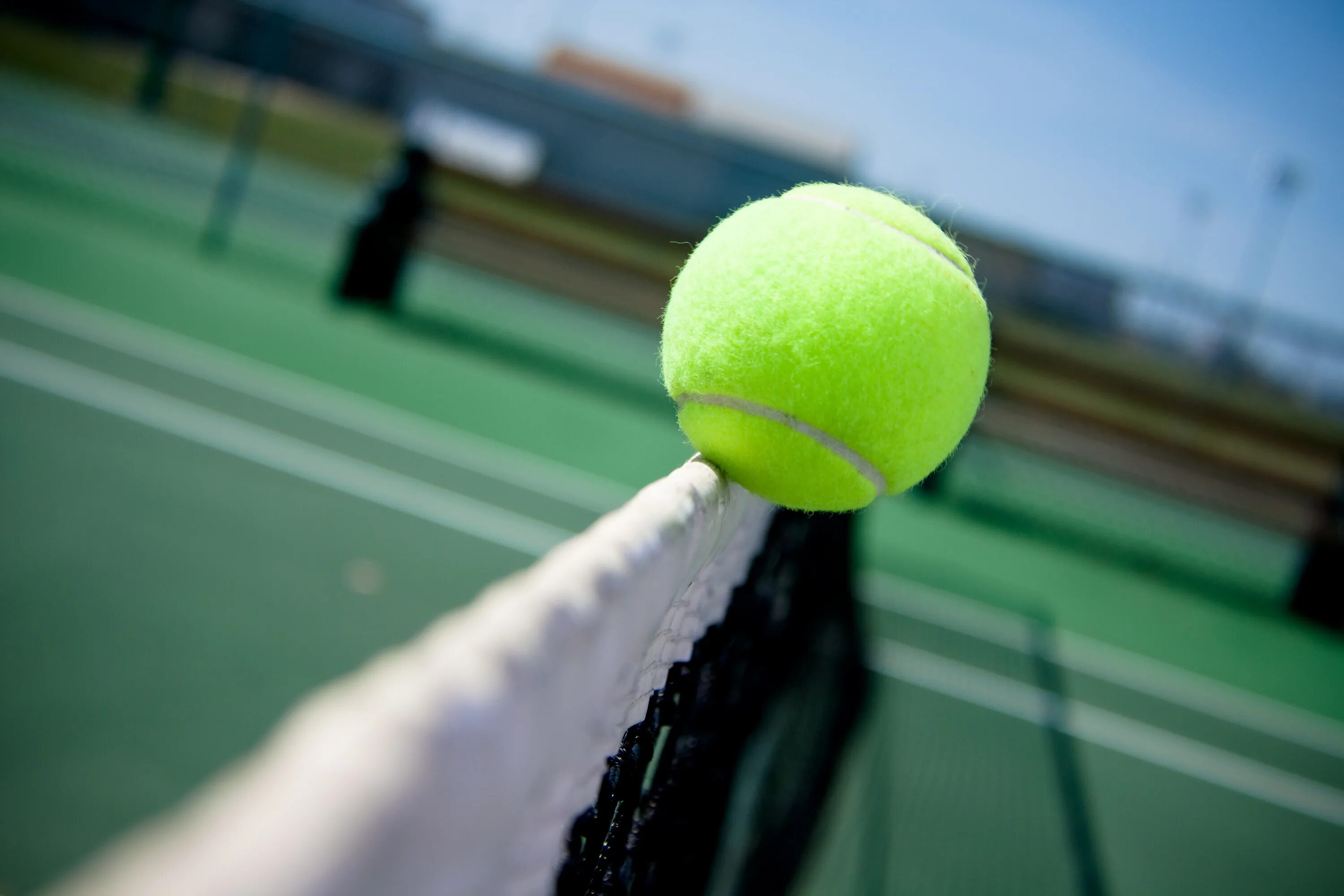 Мяч в сетке в теннисе. Теннисный корт us open. теннисный мяч. теннисные мячики на корте. мяч для большого тенниса.