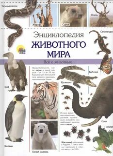 Животный мир 4 буквы