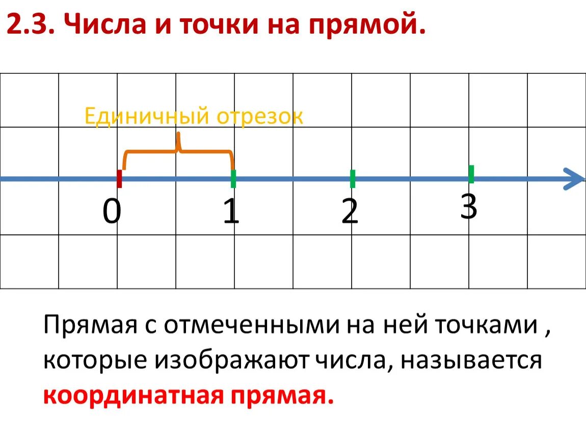 Точки на числовой прямой. Координатная прямая с единичным отрезком. Числа на числовой прямой. Памятка координатная прямая.