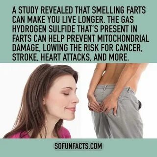 Fart перевод