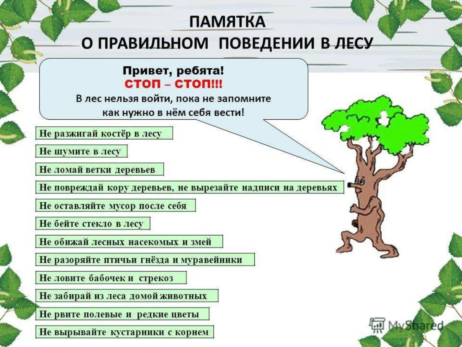 Памятка как вести себя в лесу. Памятка как вести себя на природе. Правила поведения в Дему. Правила поведения себя в лесу.