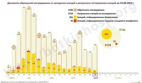 Статистика клещевого энцефалита 2023