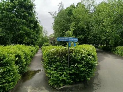 Гбуз мо мокптд мытищинский противотуберкулезный диспансер