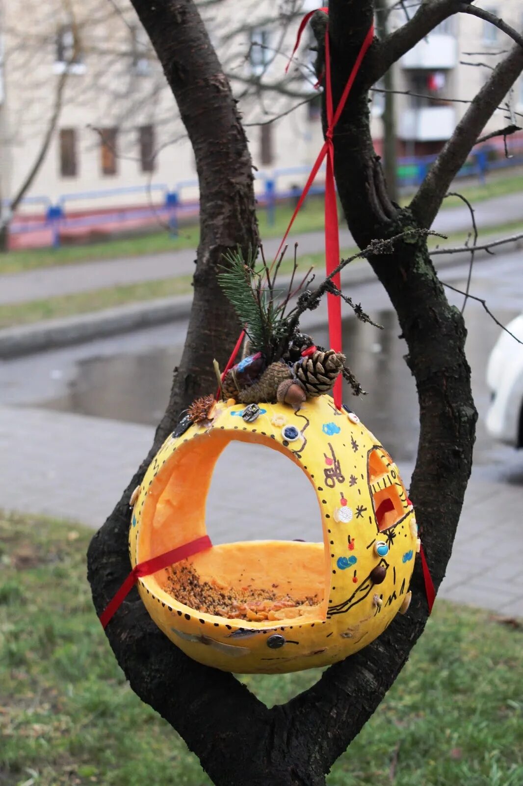 Кормушка для птиц из тыквы своими руками. Кормушка из тыквы для птиц. съедобная кормушка из тыквы. эко кормушка для птиц. эко кормушка для птиц оригинальная.
