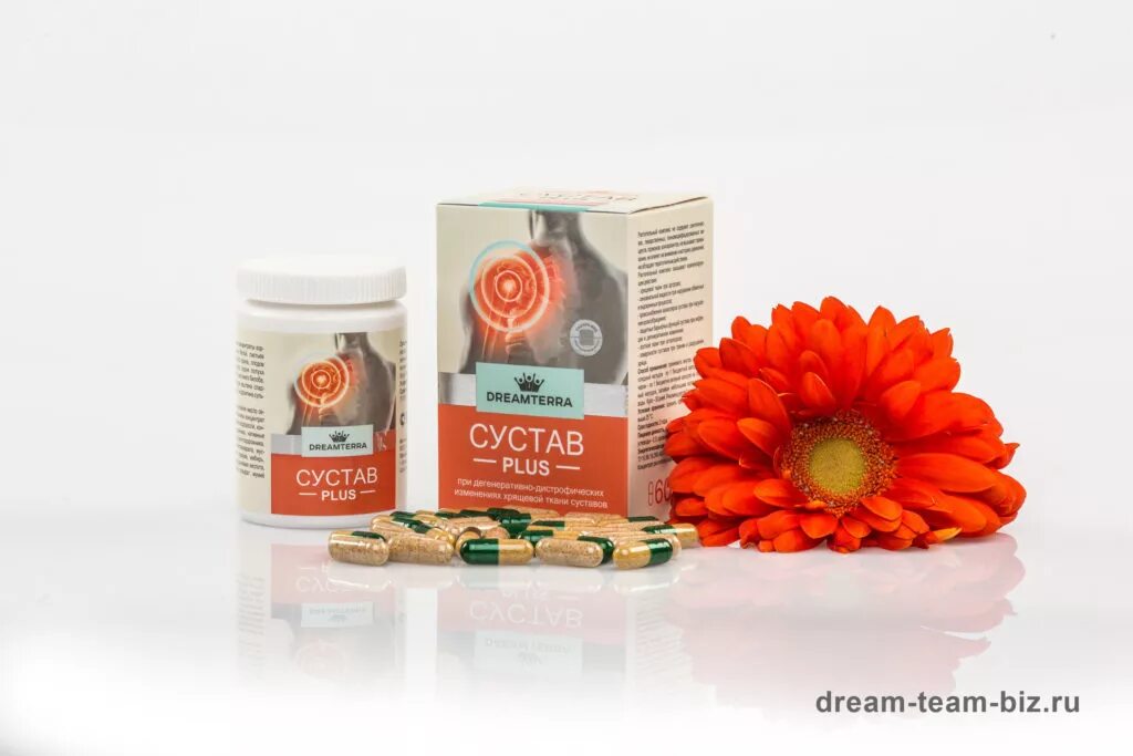 сустав плюс таблетки. бальзам сустав плюс медовый. диклоран плюс гель д/наружн. сустав plus мазь. крем сустав плюс dreamterra.
